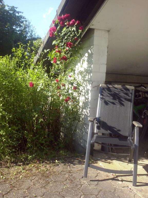 Ferienwohnung Daehne Allagen Екстер'єр фото